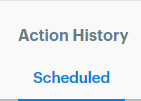 Scheduled Action history
